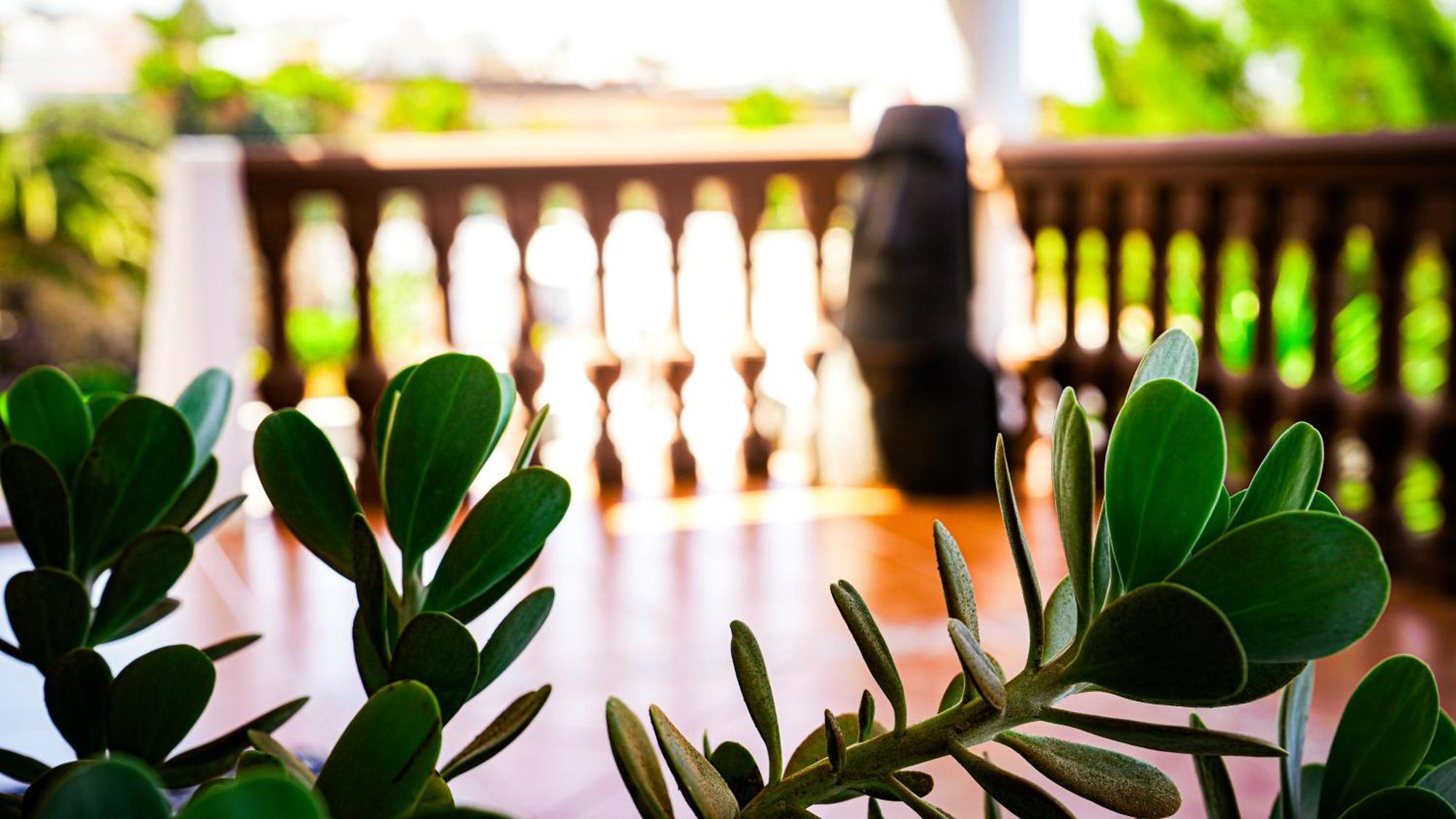 Villa Azul Fuerteventura Villaverde  Esterno foto