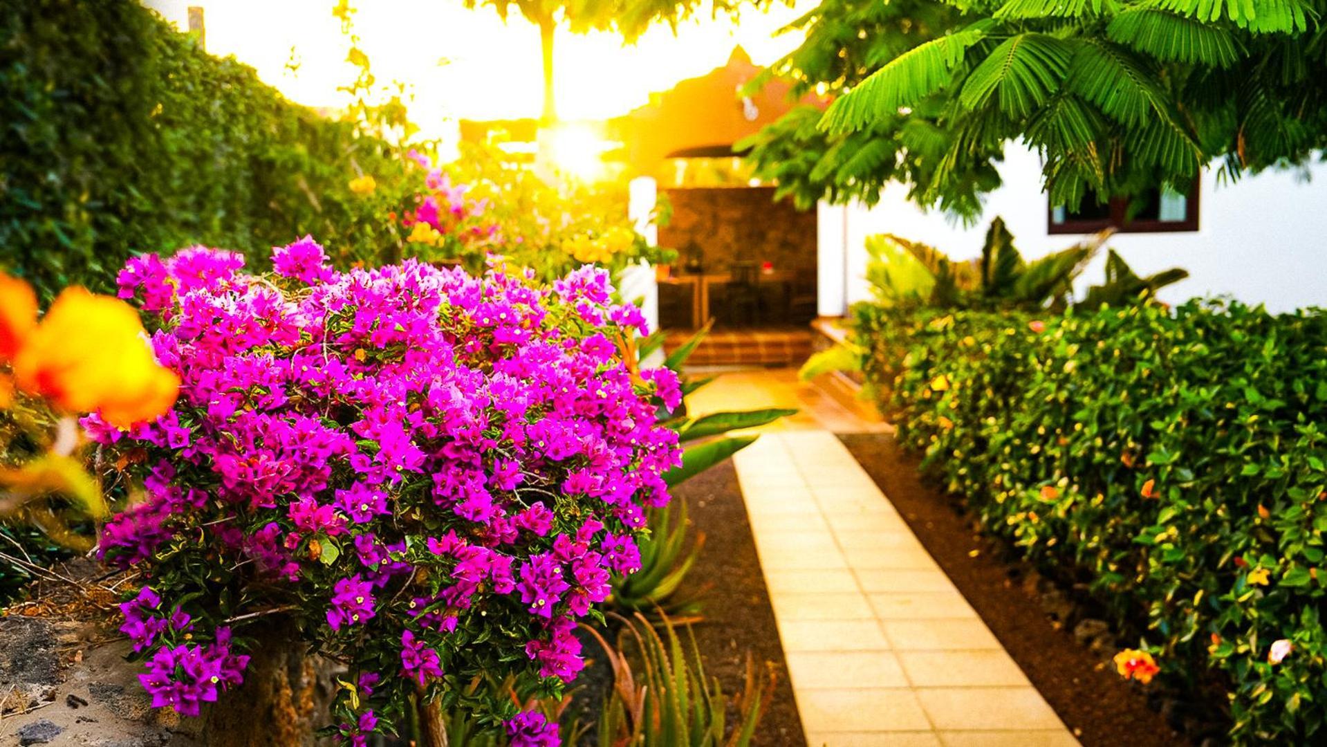 Villa Azul Fuerteventura Villaverde  Esterno foto