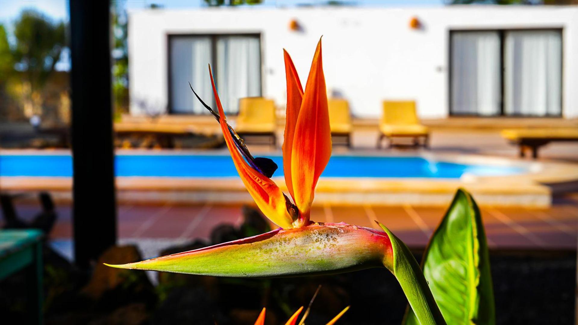 Villa Azul Fuerteventura Villaverde  Esterno foto